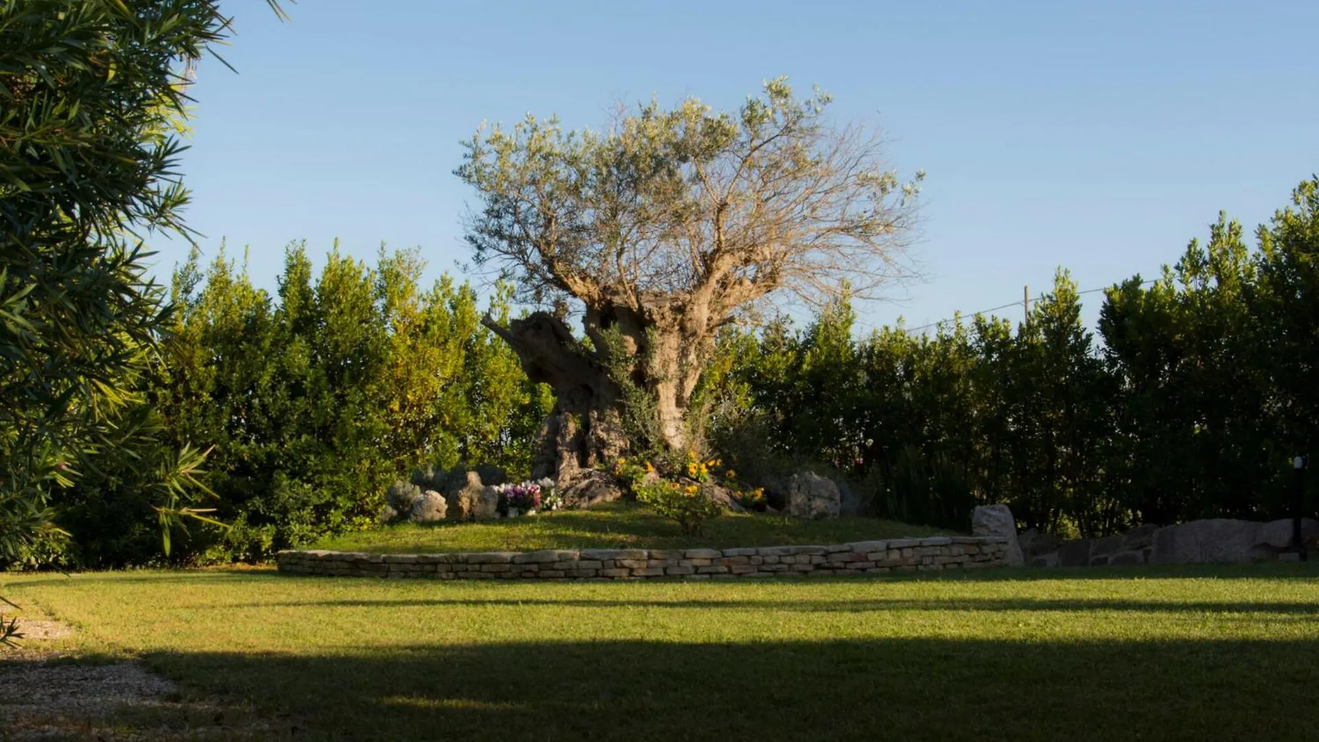Agriturismo La Violetta Polesine Camerini Farm stay